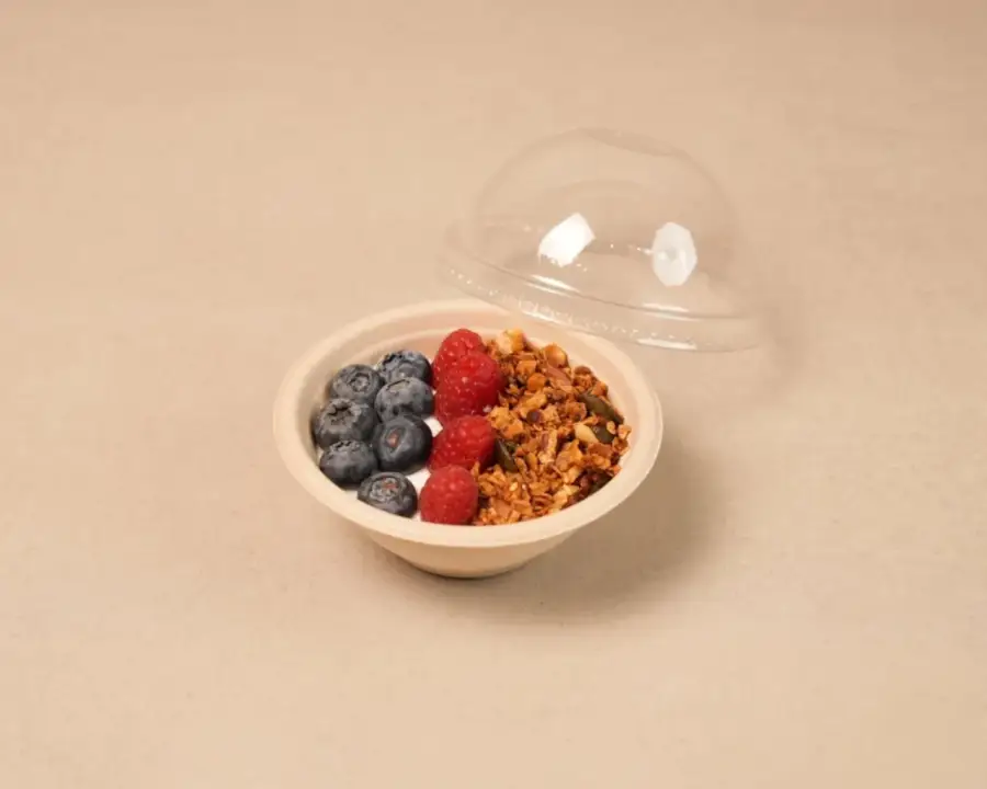 جرانولا بلوبيري